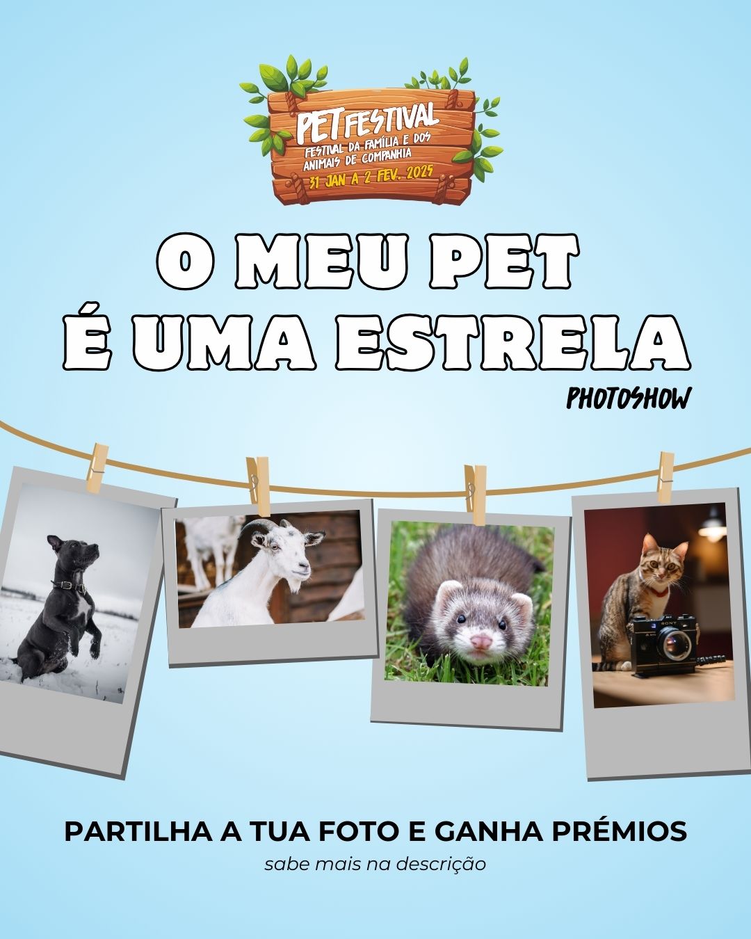 Pet Festival 2025 – 1080×1350