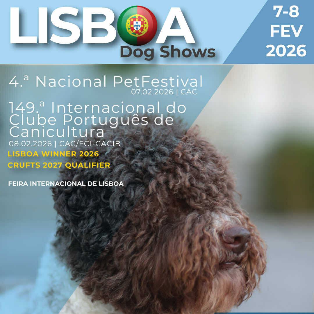 Dog Show Pet Festival