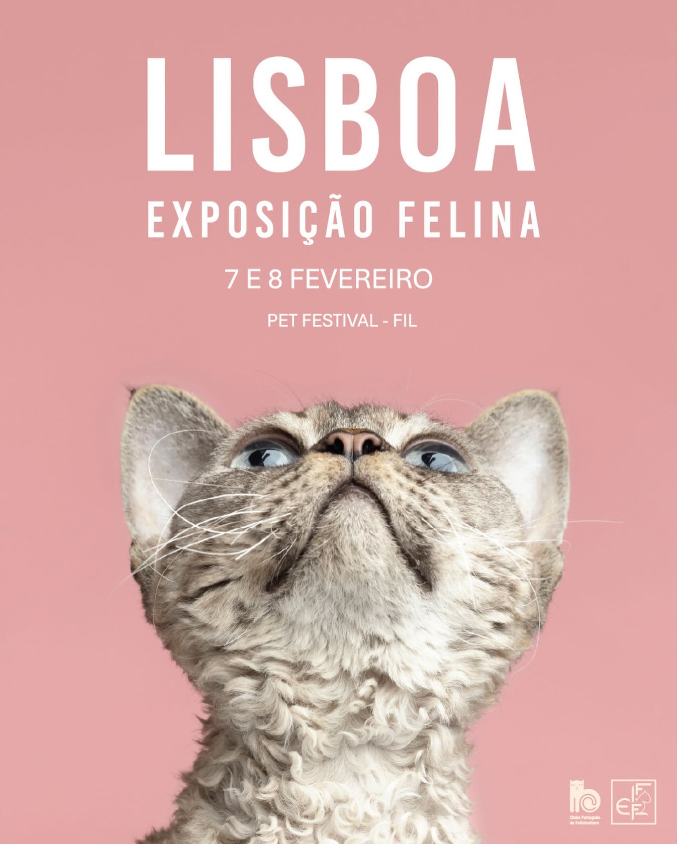 https://cpfelinicultura.pt/exposicoes/petfestival/