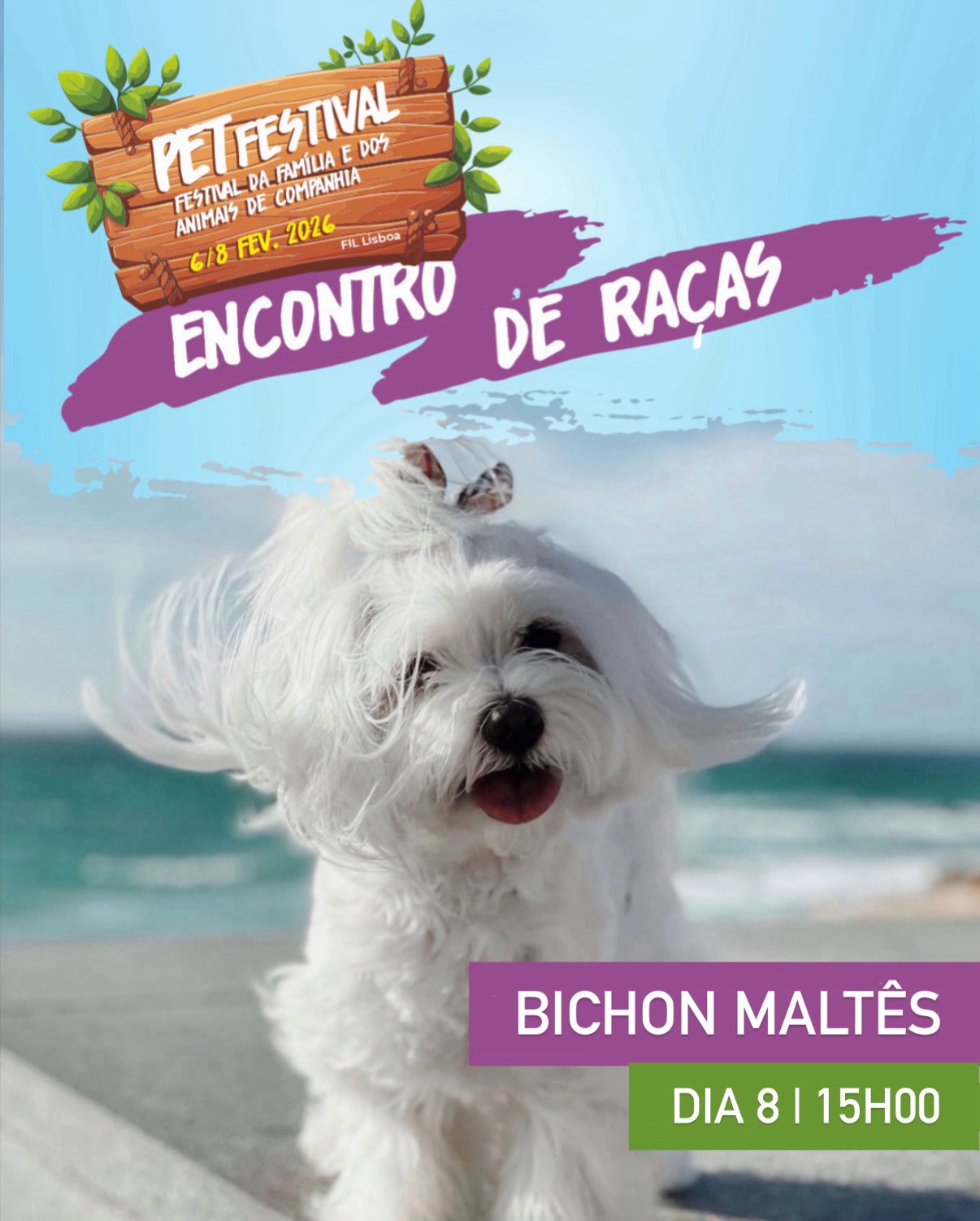 meggiethemaltese_1768145804_3807805456576060010_37720585877